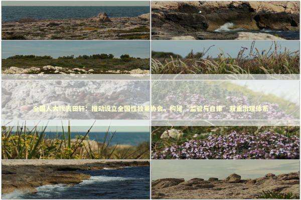 全国人大代表田轩：推动设立全国性独董协会，构建“监管与自律”双重治理体系 新闻