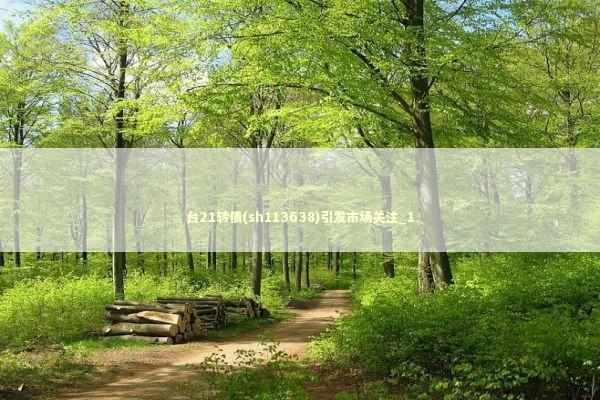 台21转债(sh113638)引发市场关注_1 新闻