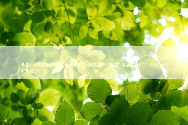 炸裂！净利预增超9倍，佰维存储20CM涨停！“全芯”科创芯片ETF（589190）涨逾1%_2 新闻