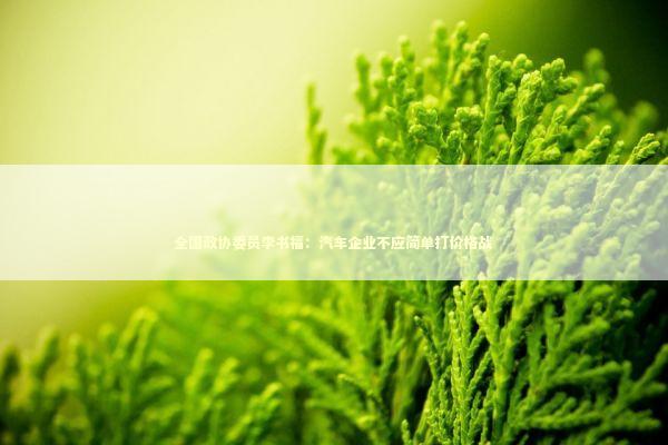 全国政协委员李书福：汽车企业不应简单打价格战 新闻