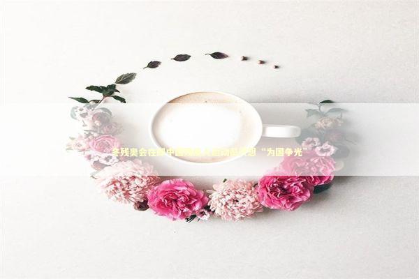 冬残奥会在即中国残疾人运动员只想“为国争光” 新闻