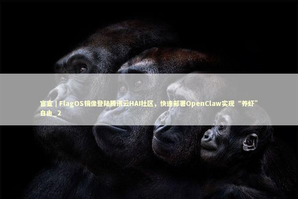官宣｜FlagOS镜像登陆腾讯云HAI社区，快速部署OpenClaw实现“养虾”自由_2 新闻