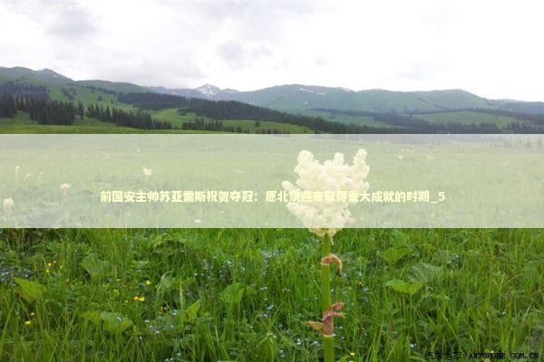 前国安主帅苏亚雷斯祝贺夺冠：愿北京迎来取得重大成就的时期_5 新闻