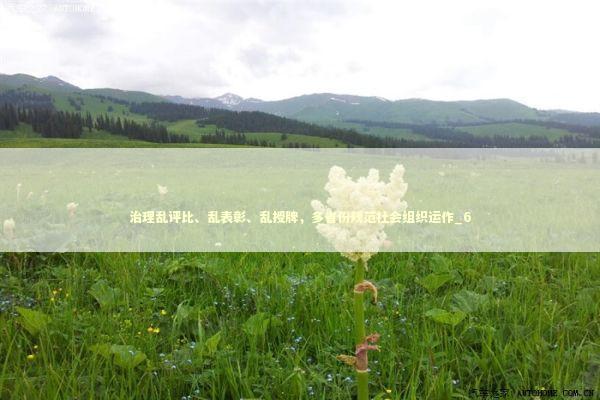 治理乱评比、乱表彰、乱授牌，多省份规范社会组织运作_6 新闻