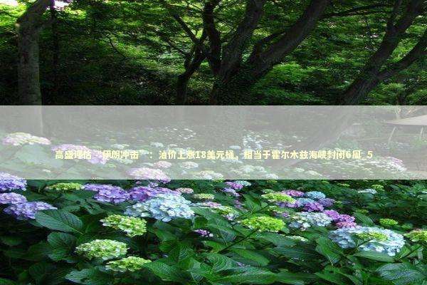 高盛评估“伊朗冲击”：油价上涨18美元桶，相当于霍尔木兹海峡封闭6周_5 新闻