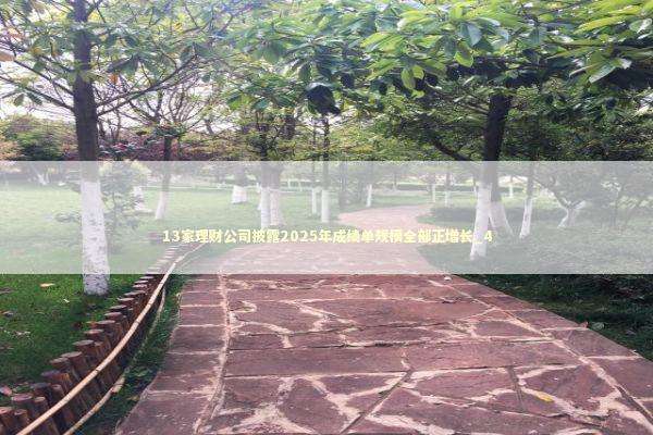 13家理财公司披露2025年成绩单规模全部正增长_4 新闻