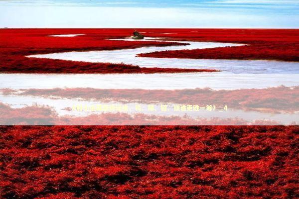 A股小金属涨势延续，钨、锑、钼、镁谁更胜一筹？_4 新闻