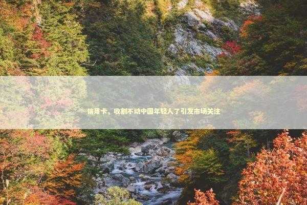 信用卡，收割不动中国年轻人了引发市场关注 新闻