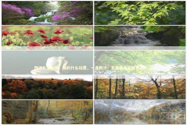 热议女足全场：踢的什么玩意，一盘散沙；若是男足能被喷上天_2 新闻