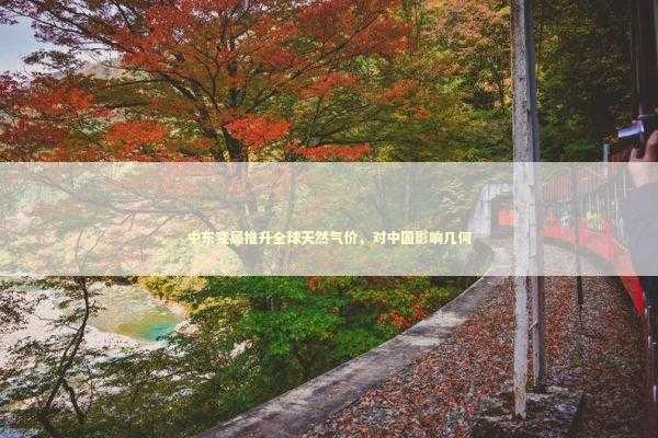 中东变局推升全球天然气价，对中国影响几何 新闻