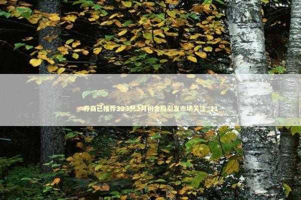 券商已推荐323只3月份金股引发市场关注_11 新闻