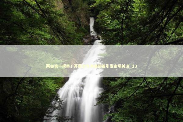 两会第一观察丨开局之年共谱新篇引发市场关注_13 新闻