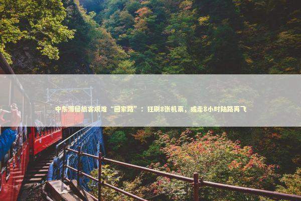 中东滞留旅客艰难“回家路”:狂刷8张机票,或走8小时陆路再飞 中东滞留旅客艰难“回家路”:狂刷8张机票,或走8小时陆路再飞 新闻