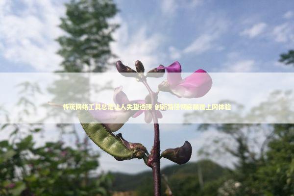 传统网络工具总是让人失望透顶 创新路径彻底颠覆上网体验 汽车科技