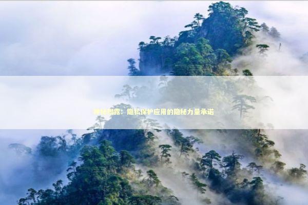 神秘揭露：隐私保护应用的隐秘力量承诺 新闻