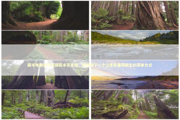 新手电脑突然蓝屏后手足无措，却发现了一个让系统重获新生的简单方式 新闻