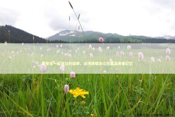 那些年一起追过的旋律，这场演唱会让你重温青春记忆 娱乐新闻