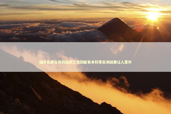 程序员都在用的这款工具到底有多好用实测结果让人意外 IT技术