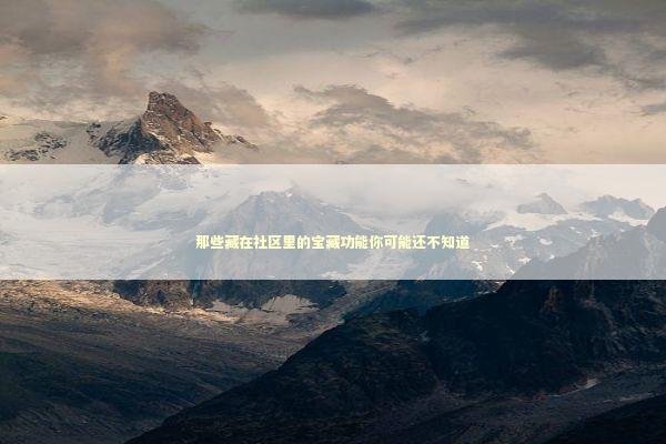 那些藏在社区里的宝藏功能你可能还不知道 那些藏在社区里的宝藏功能你可能还不知道 新闻