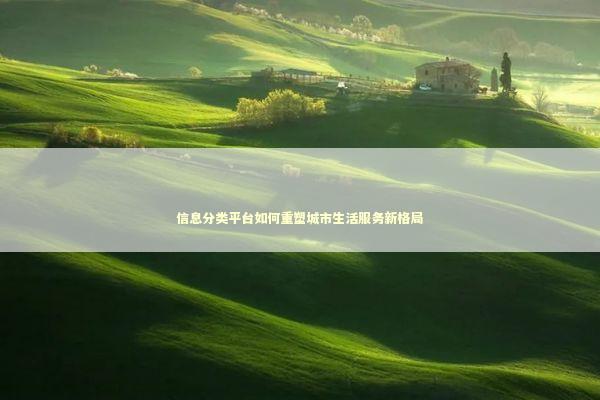 信息分类平台如何重塑城市生活服务新格局